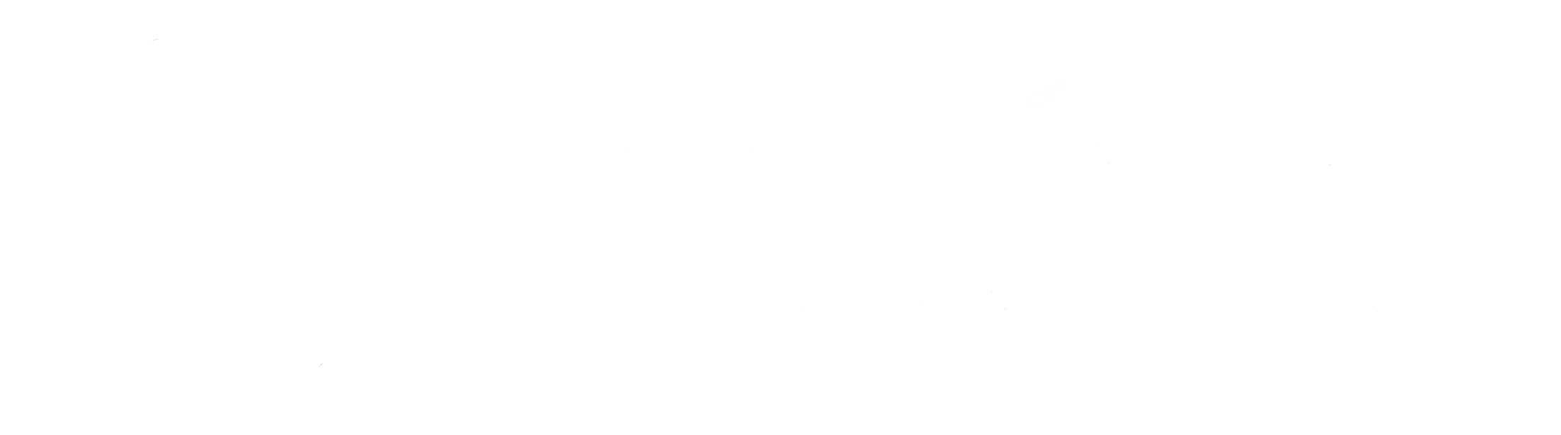 ladylinertransport